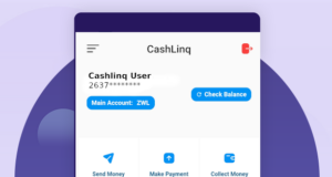 Cashlnq Zimbabwe